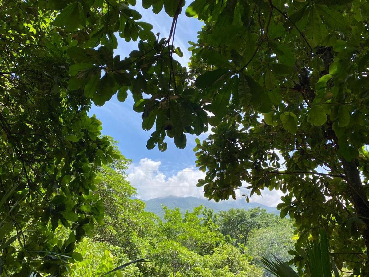 Las Mananitas De La Sierra El Zaino Eksteriør bilde