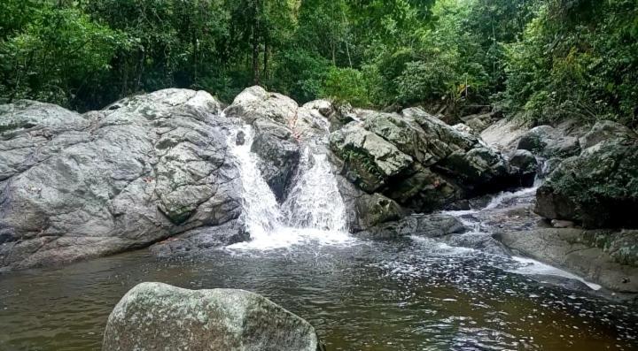 Las Mananitas De La Sierra El Zaino Eksteriør bilde