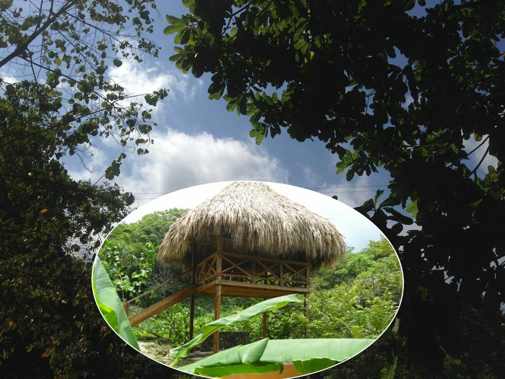 Las Mananitas De La Sierra El Zaino Eksteriør bilde