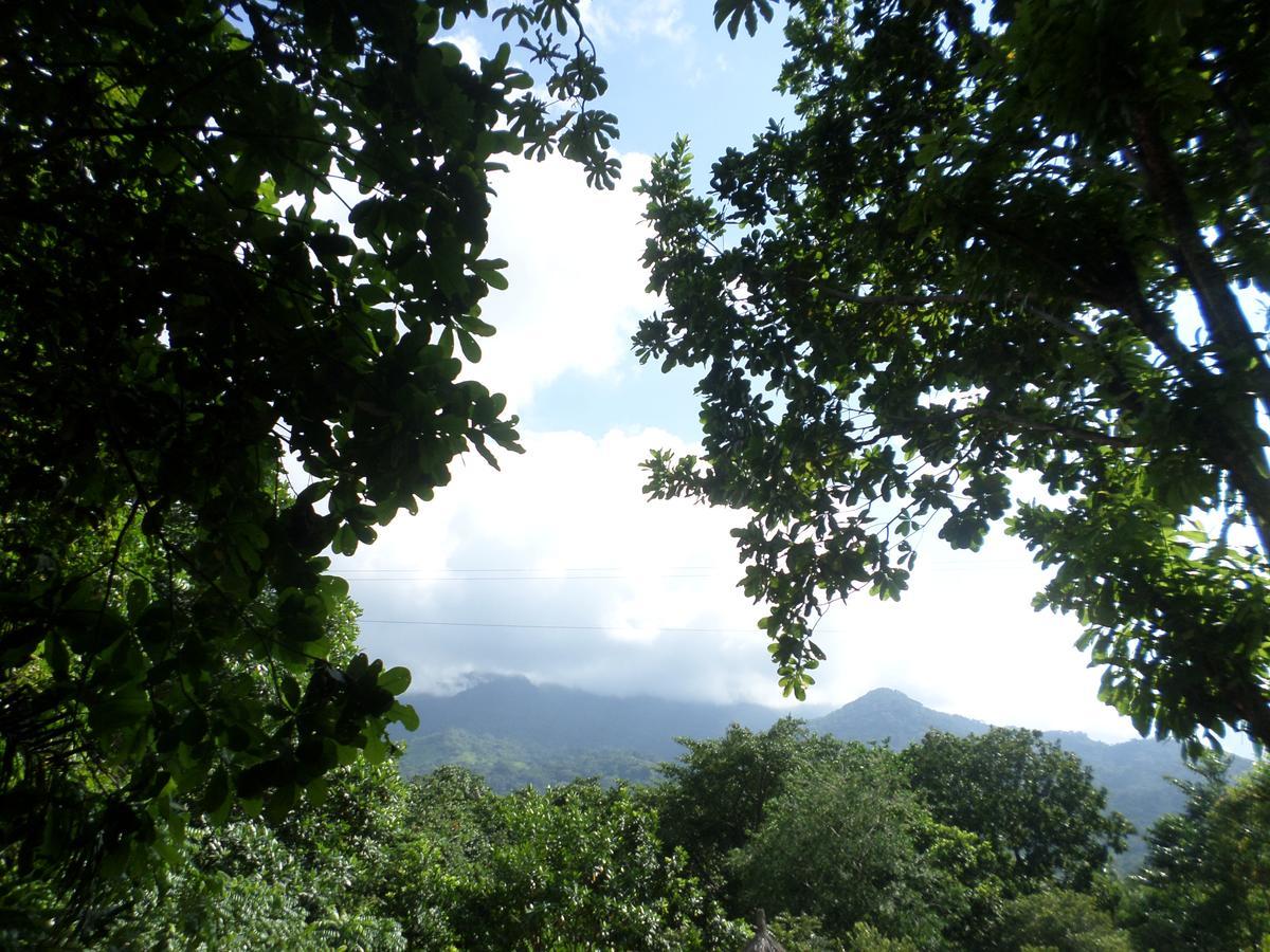Las Mananitas De La Sierra El Zaino Eksteriør bilde