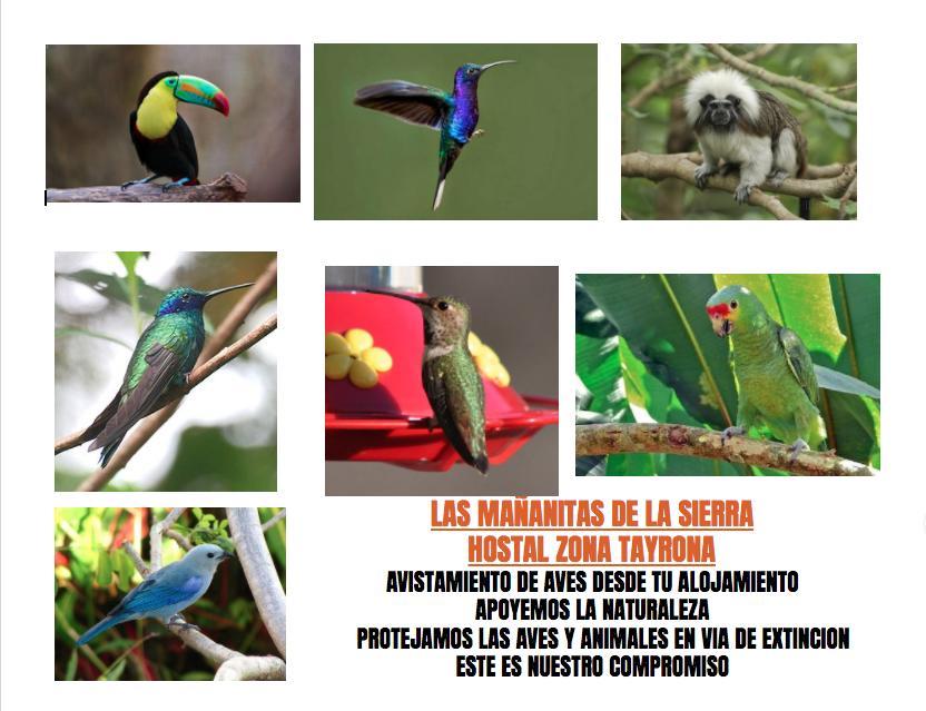 Las Mananitas De La Sierra El Zaino Eksteriør bilde